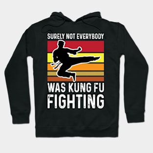 surely not everybody was kung fu fighting Hoodie